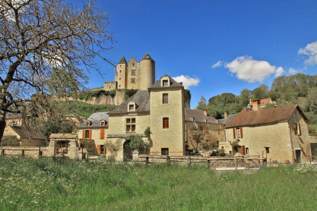 Petite Maison En Pierre Au Coeur Du Perigord Noir Salignac Eyvigues Eksteriør bilde