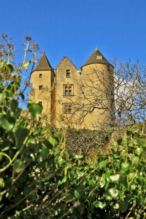 Petite Maison En Pierre Au Coeur Du Perigord Noir Salignac Eyvigues Eksteriør bilde