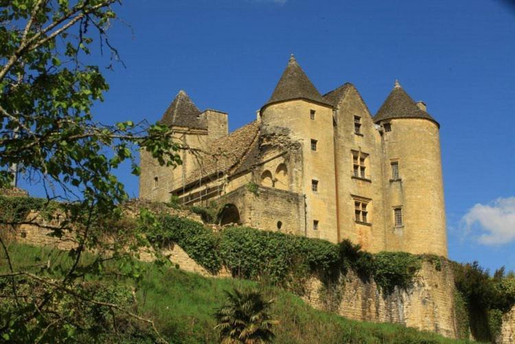 Petite Maison En Pierre Au Coeur Du Perigord Noir Salignac Eyvigues Eksteriør bilde