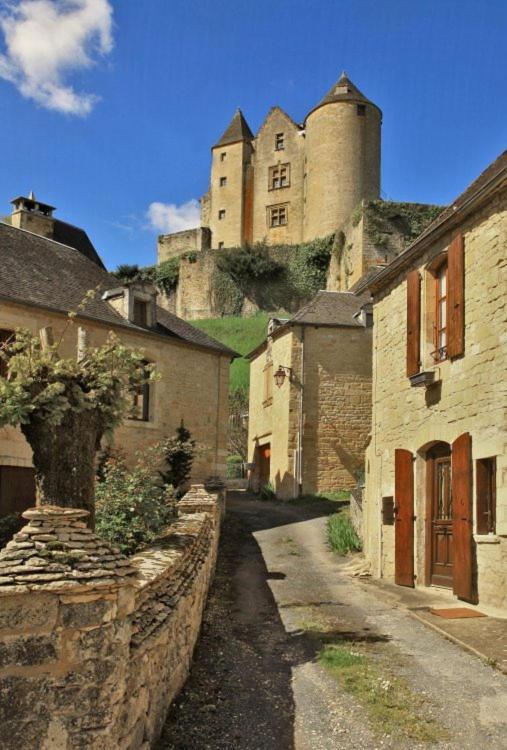 Petite Maison En Pierre Au Coeur Du Perigord Noir Salignac Eyvigues Eksteriør bilde