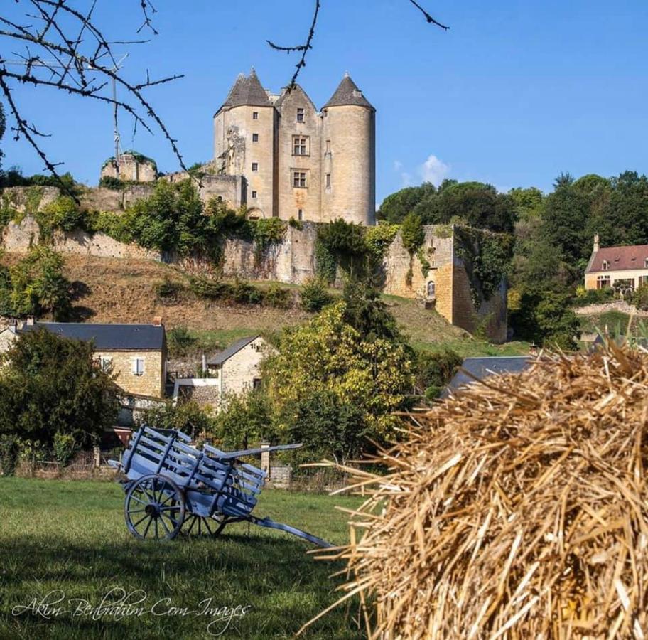 Petite Maison En Pierre Au Coeur Du Perigord Noir Salignac Eyvigues Eksteriør bilde